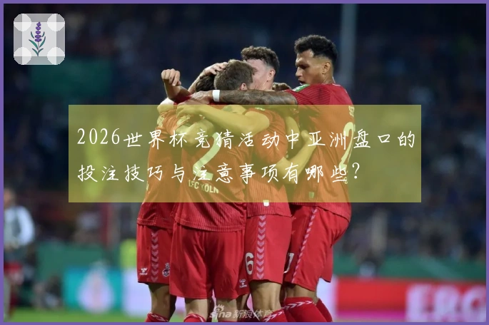 2026世界杯竞猜活动中亚洲盘口的投注技巧与注意事项有哪些？