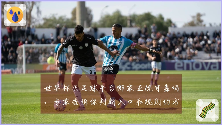 世界杯买足球平台哪家正规可靠吗，专家告诉你判断入口和规则的方法